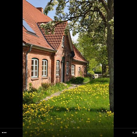 Landhaus Hohenfelde Hohenfelde  외부 사진